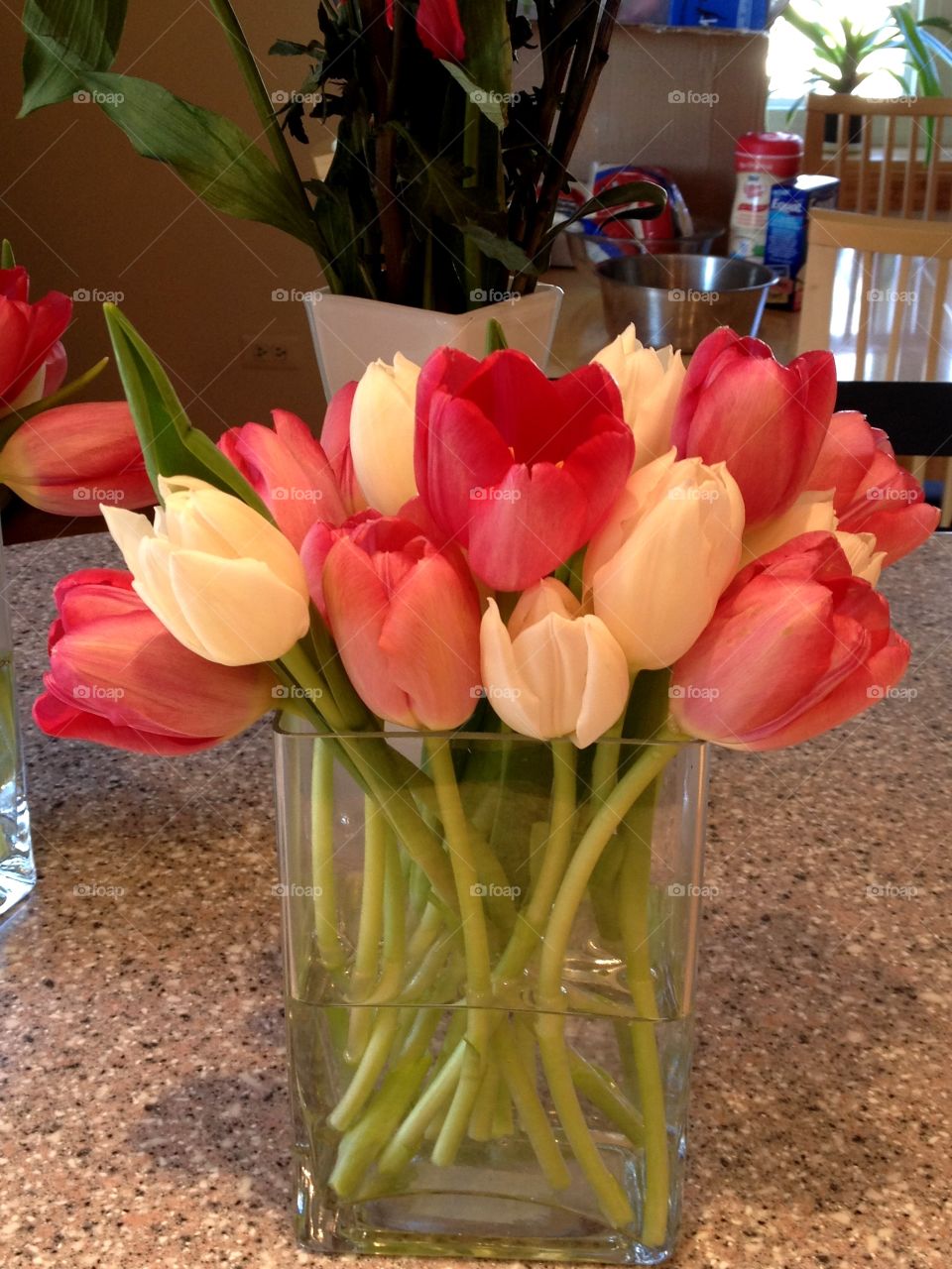 Tulips. Bouquet of spring tulips