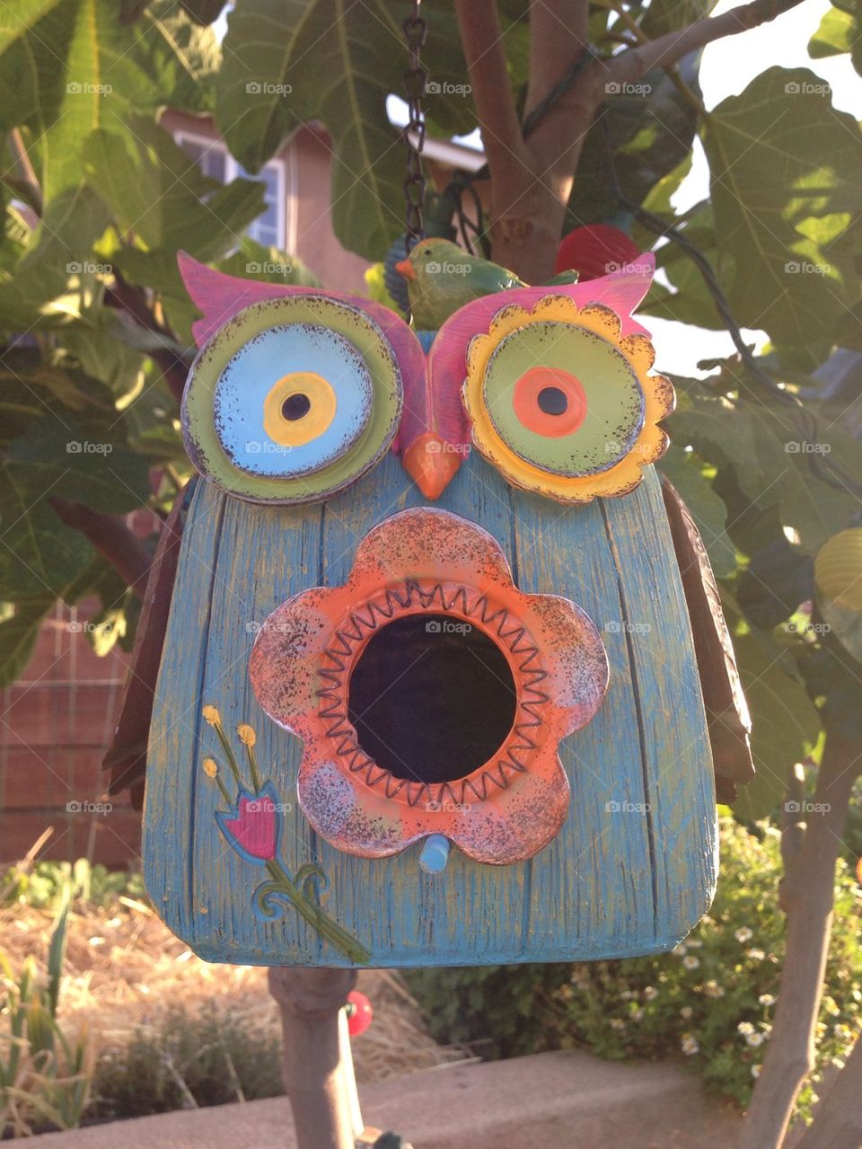 Bird Birdhouse