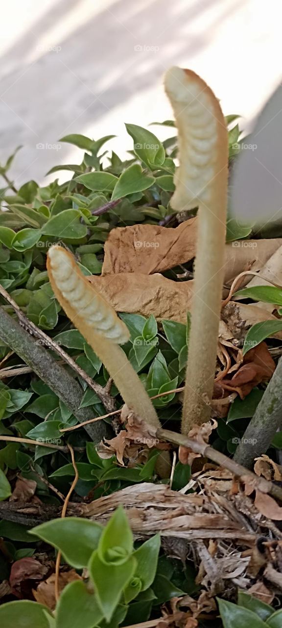 new in this world with its soft and closed body parts