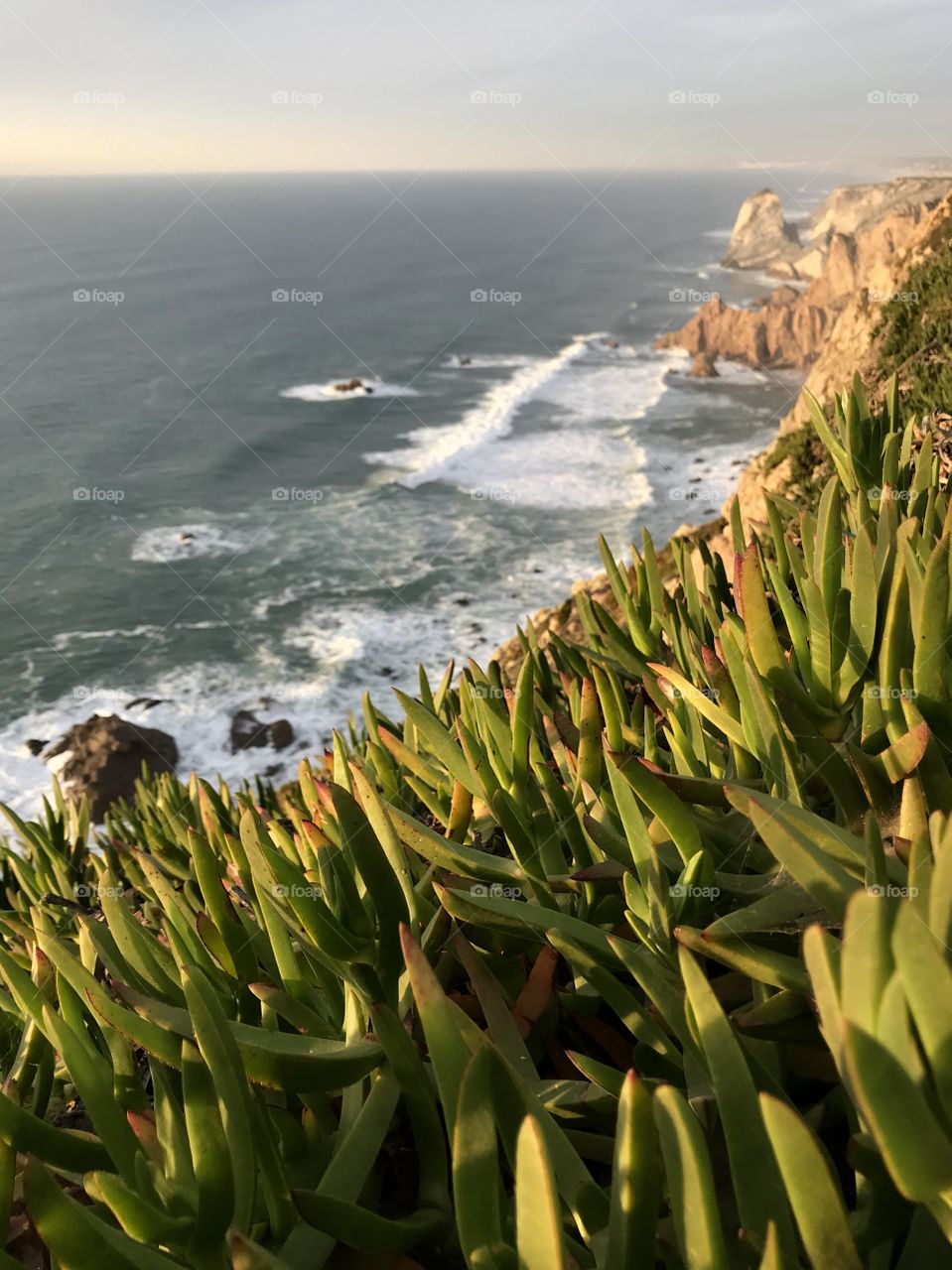 Amazing views on my travel with friends. This is in Portugal. 