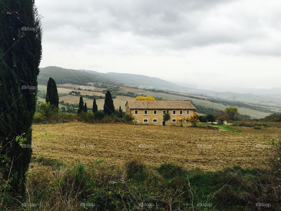 Tuscan Hillside 