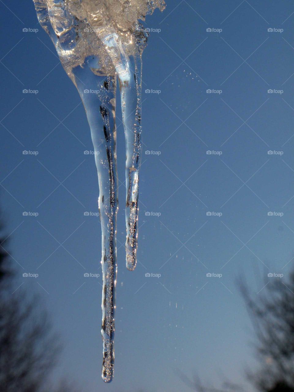 stunning icicles against blue sky