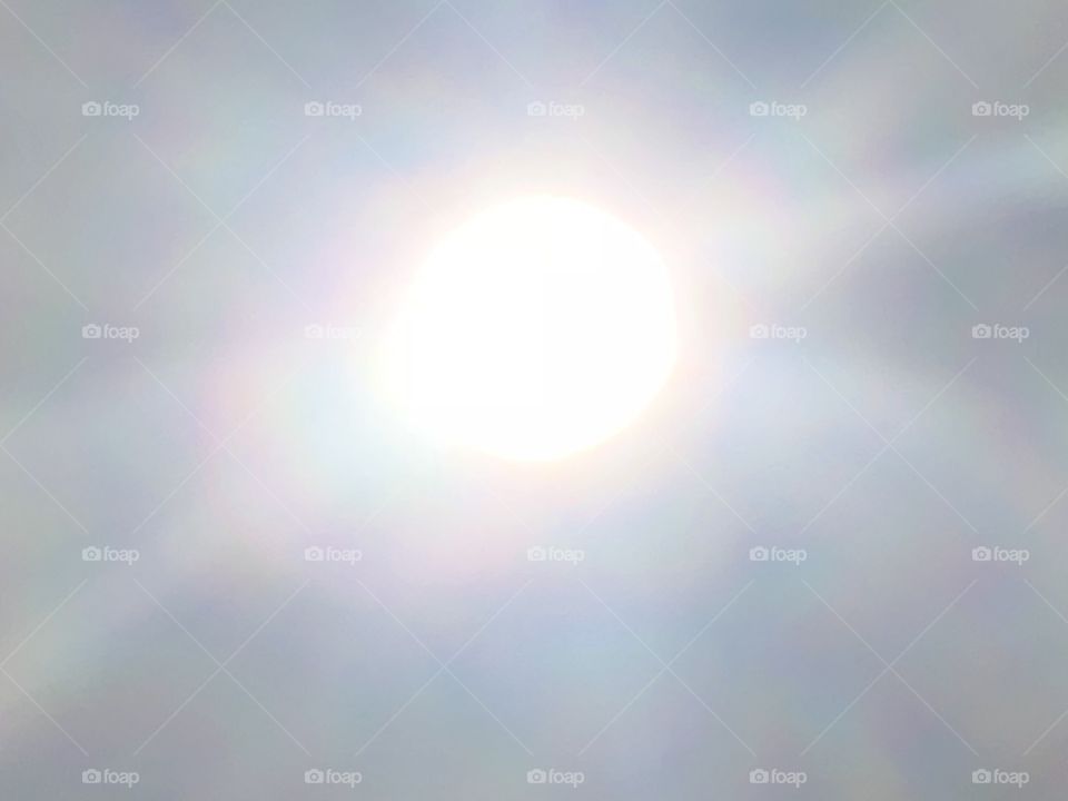 Sunlight through some trees