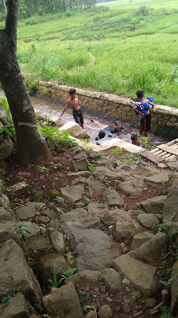 A small child who is cool playing in a small river on the edge of a rice field