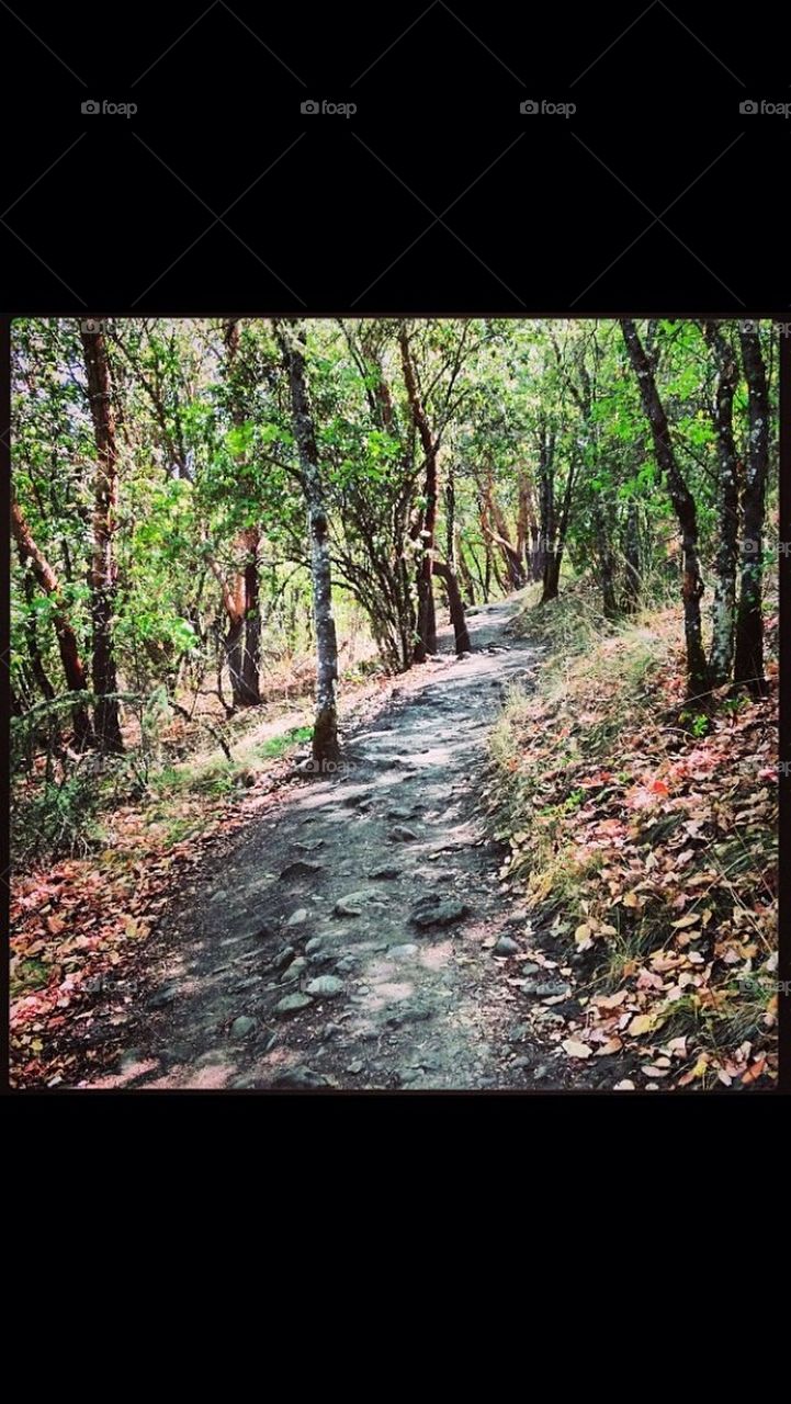 Hill trail