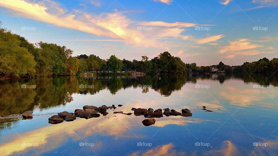 Trees reflection over the lake