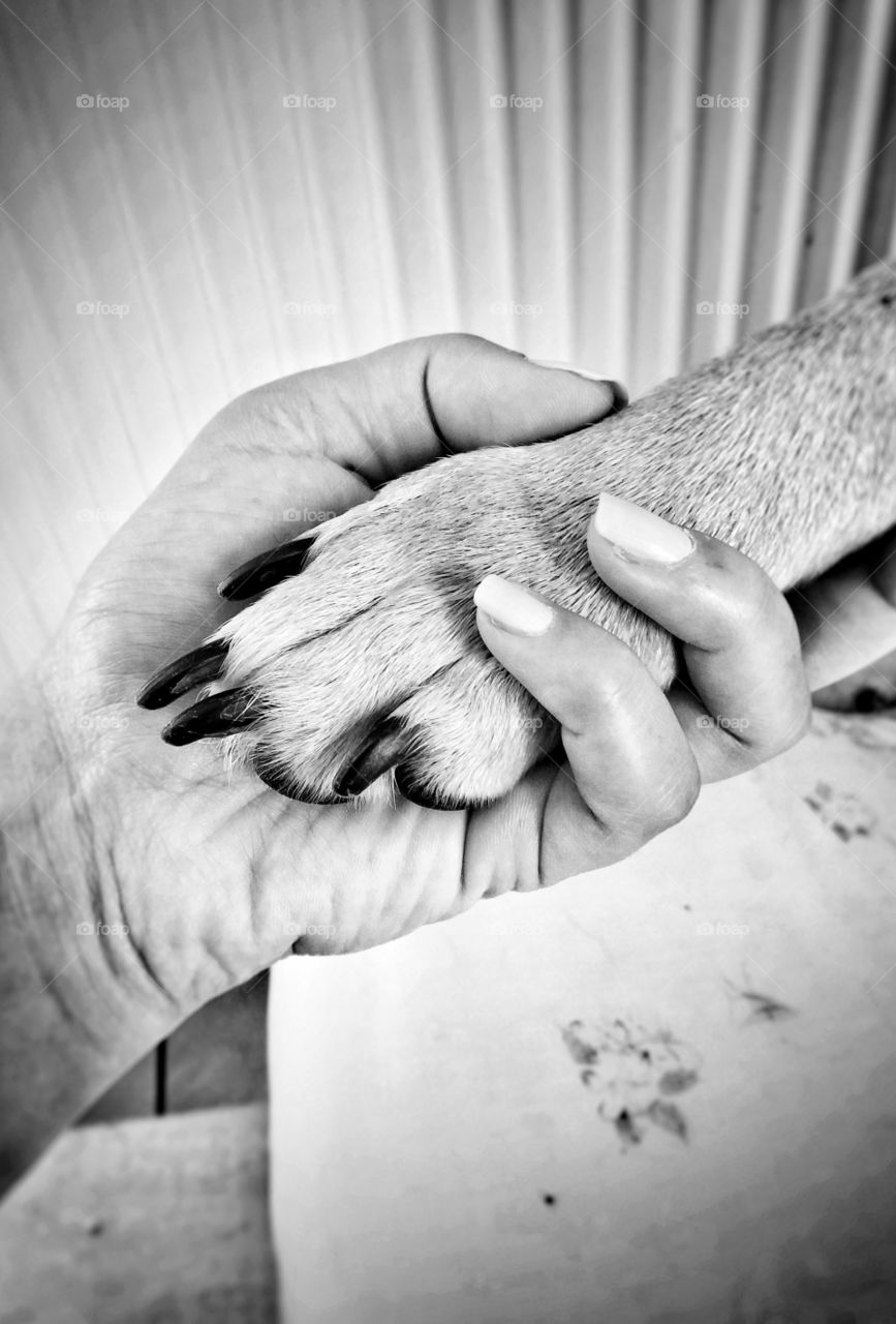 This feeling can melt your heart!