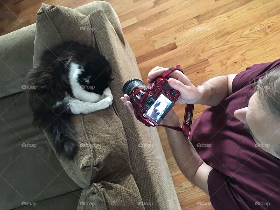 Photographer, taking pictures of family cat hiding her face