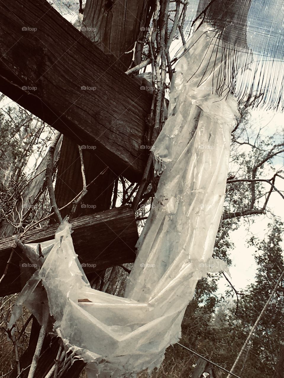 Hawthorne Nursery urbex abandoned