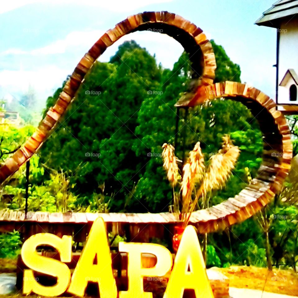 Sapa.