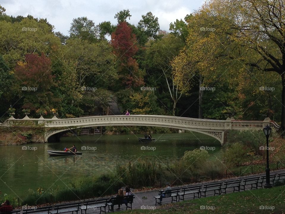Bridge. Central Park NYC