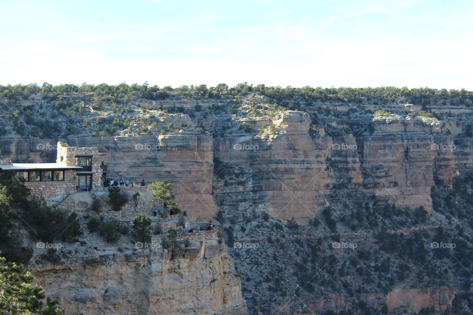 Grand Canyon View