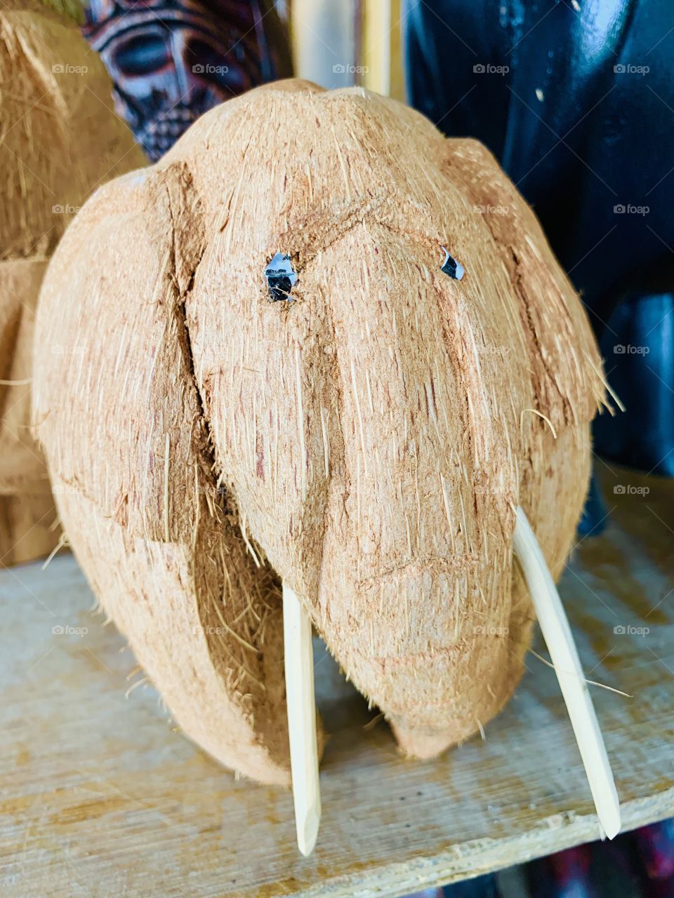 Elephant coconut