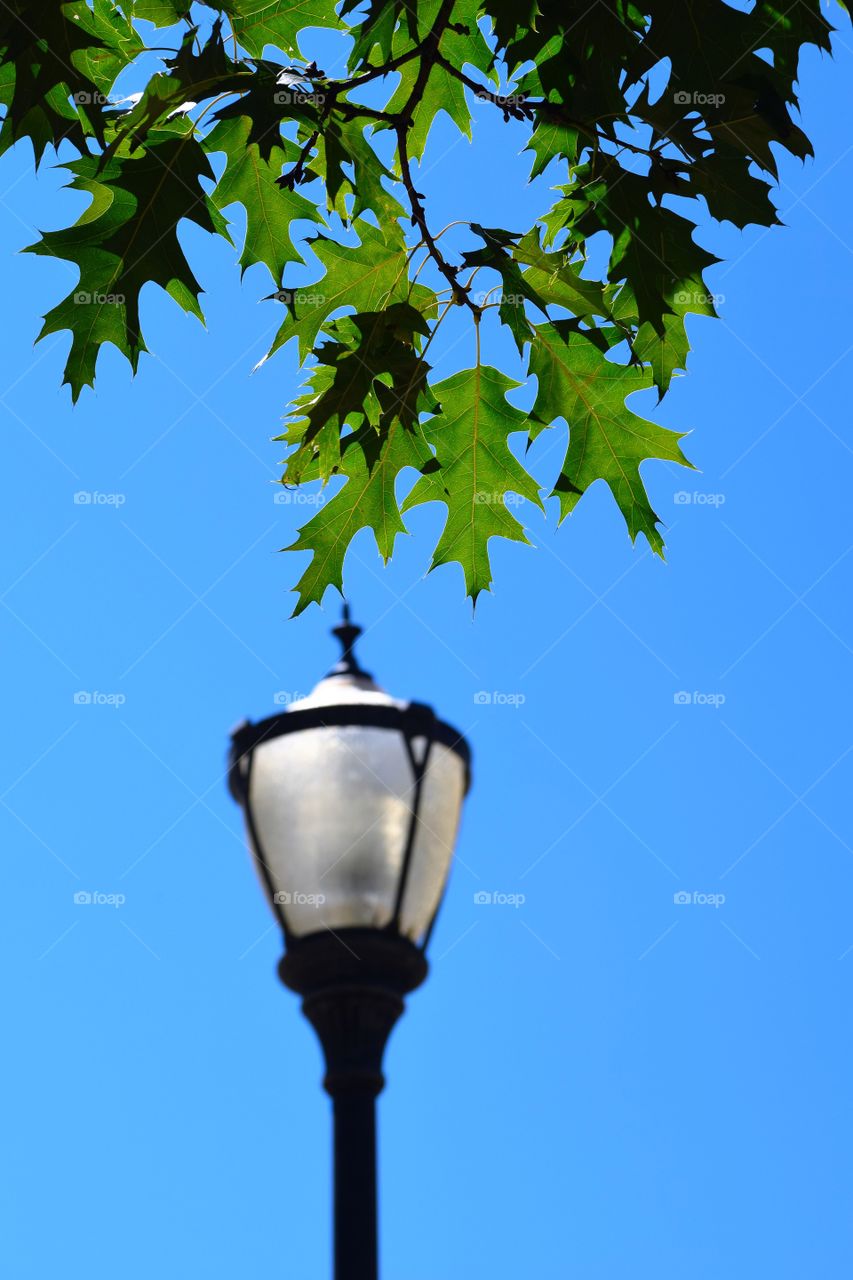 lamp blue sky