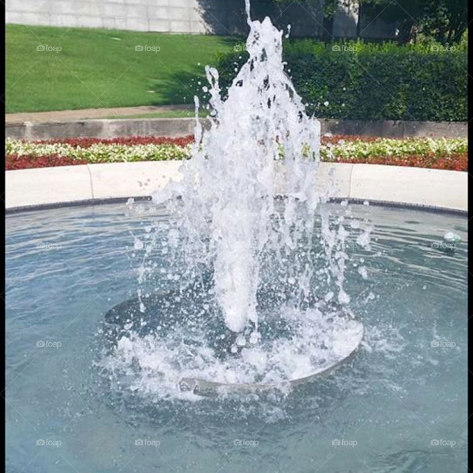 Water
Fountain