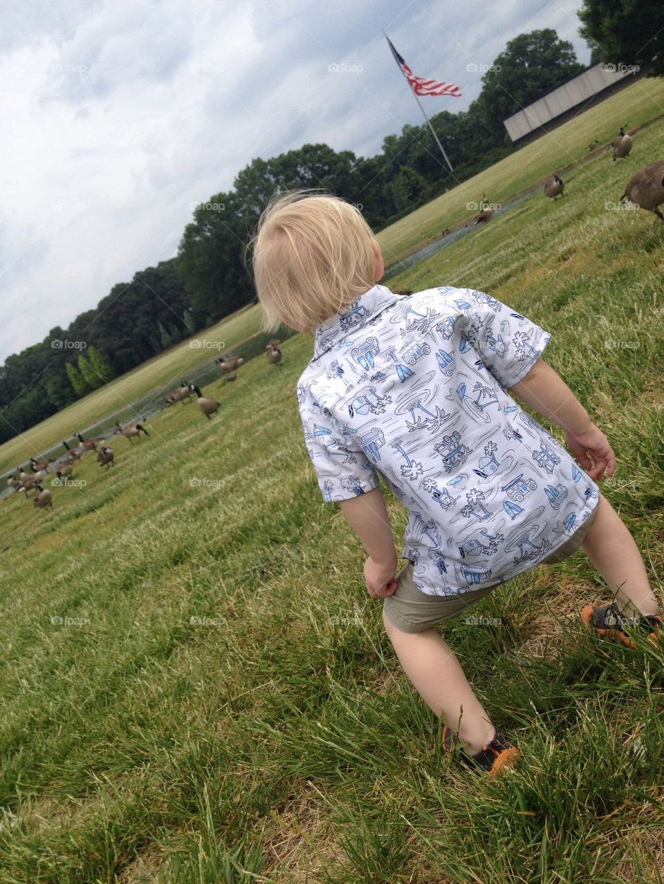 Ducks and a boy