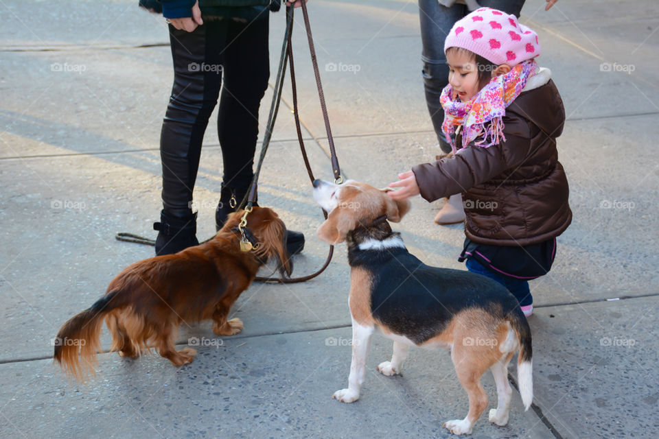 girl playing with dogs