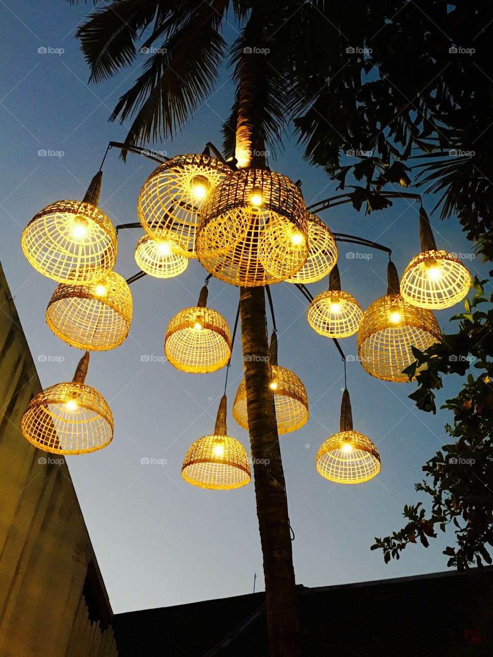 Lighting at Palm tree
