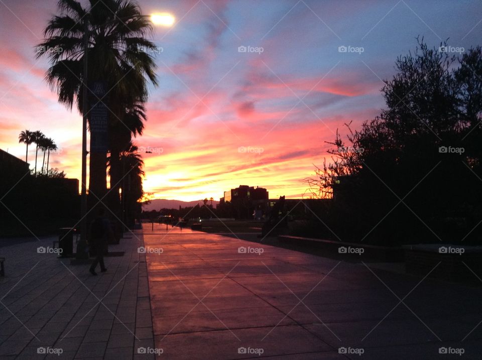 Sunrise in Arizona 
