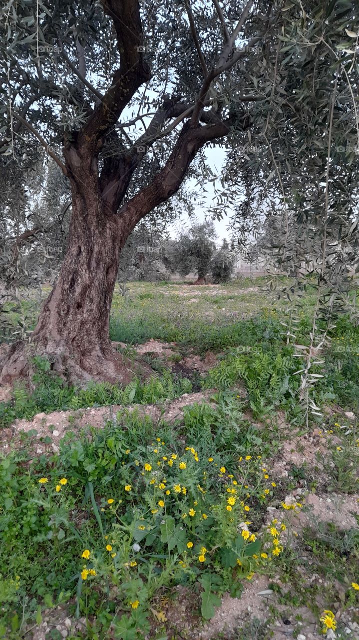 beautiful place in Jordan 🇯🇴