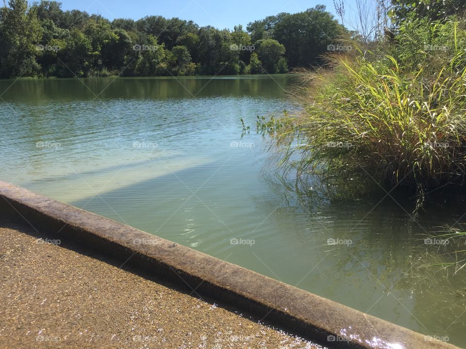 Water, Landscape, River, Lake, Tree