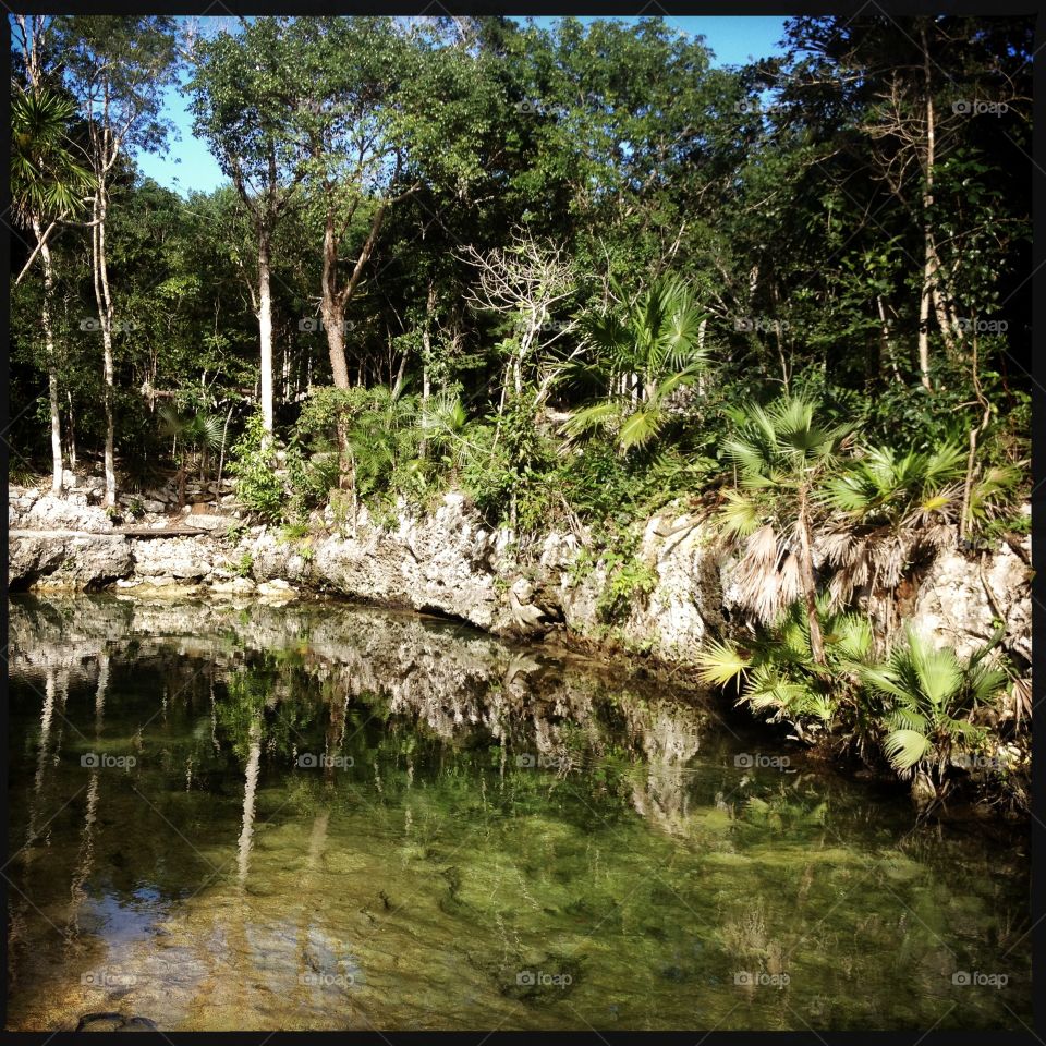 Cenote 