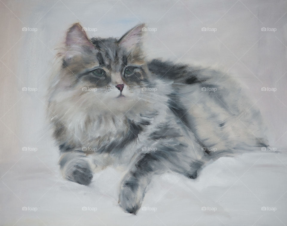 The Cat. Oil on Convas. 