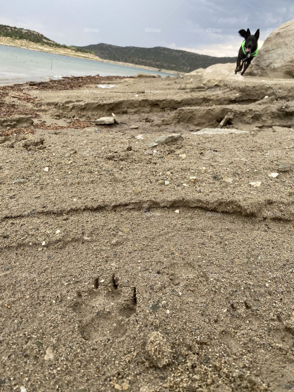 Walks on the lake shore