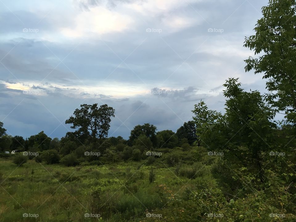 Evening clouds