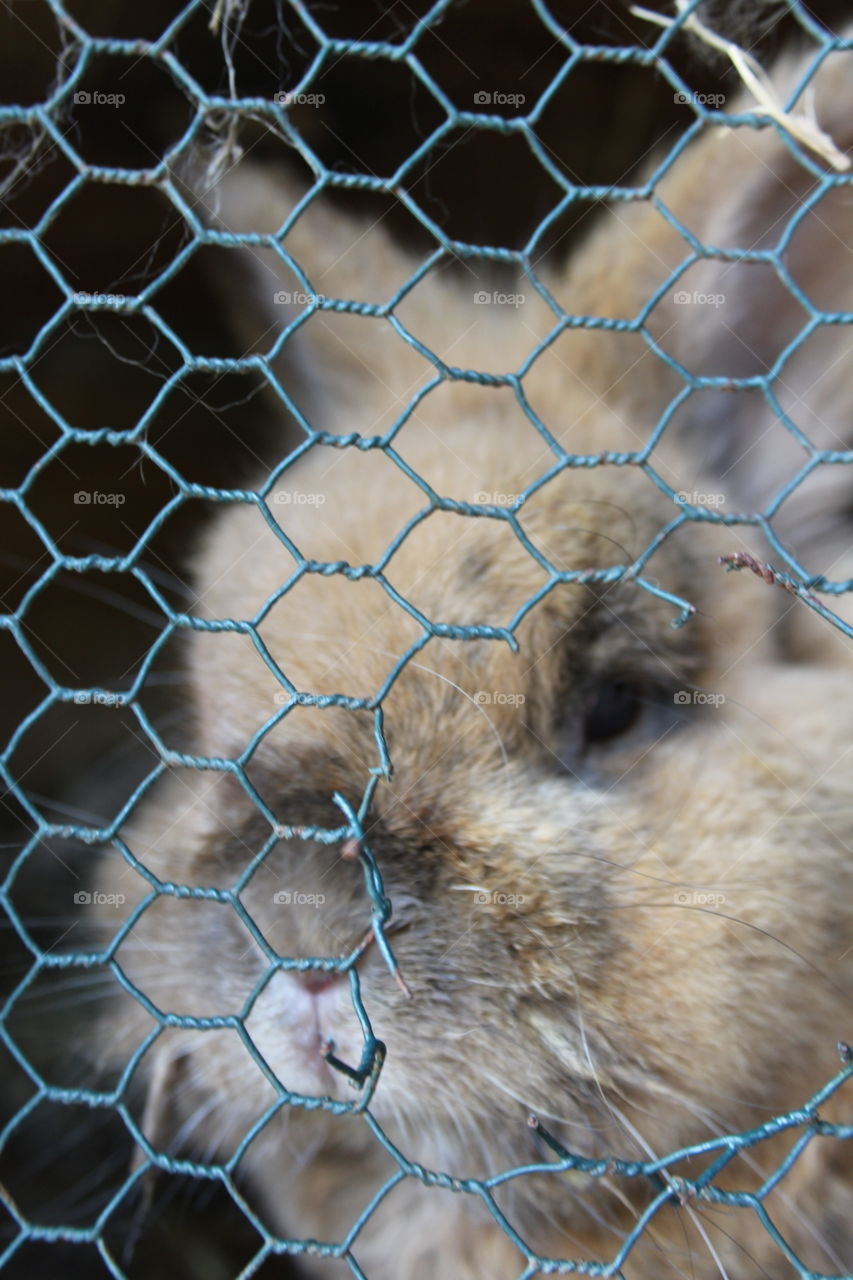 Why can't I get through this?