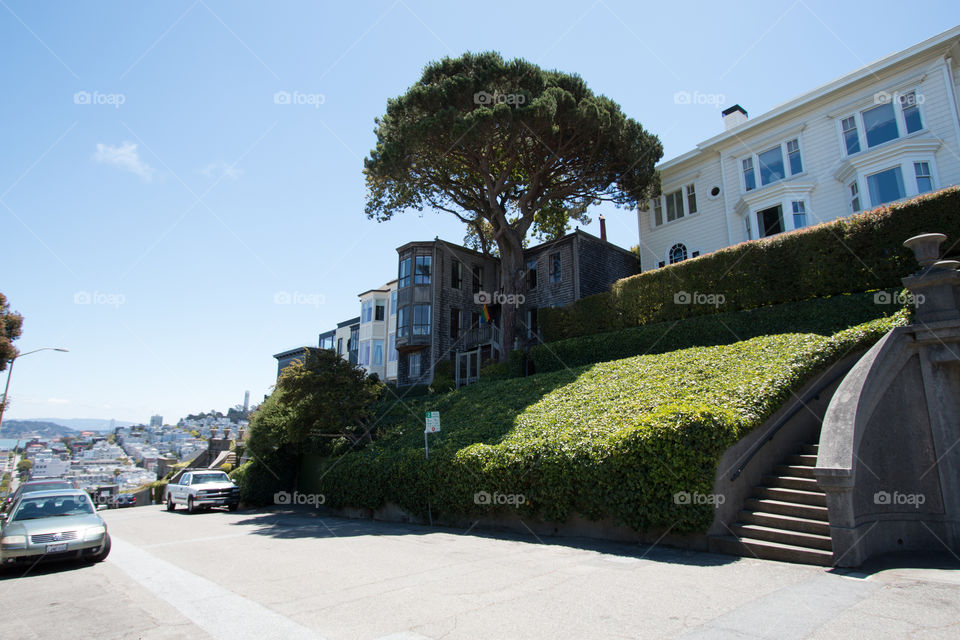 Architecture, Street, Tree, Travel, Building