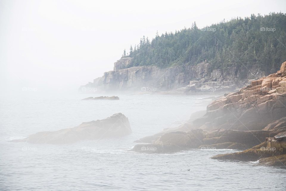 Mist clings to the rocky outcroppings and the jagged shores of the Otter Cliffs.