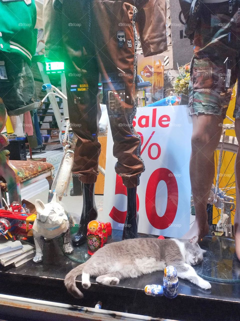 Cat on sale