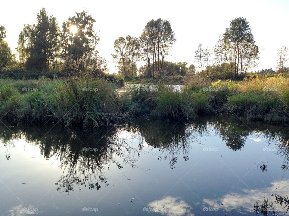 Ethereally beautiful Deboughville Slough a tidal waterway which feeds into one of the largest tidal lakes in the world, Pitt Lake. An Autumn walk reveals gorgeous colour, mountain scenery, and wildlife. Located in Coquitlam British Columbia 