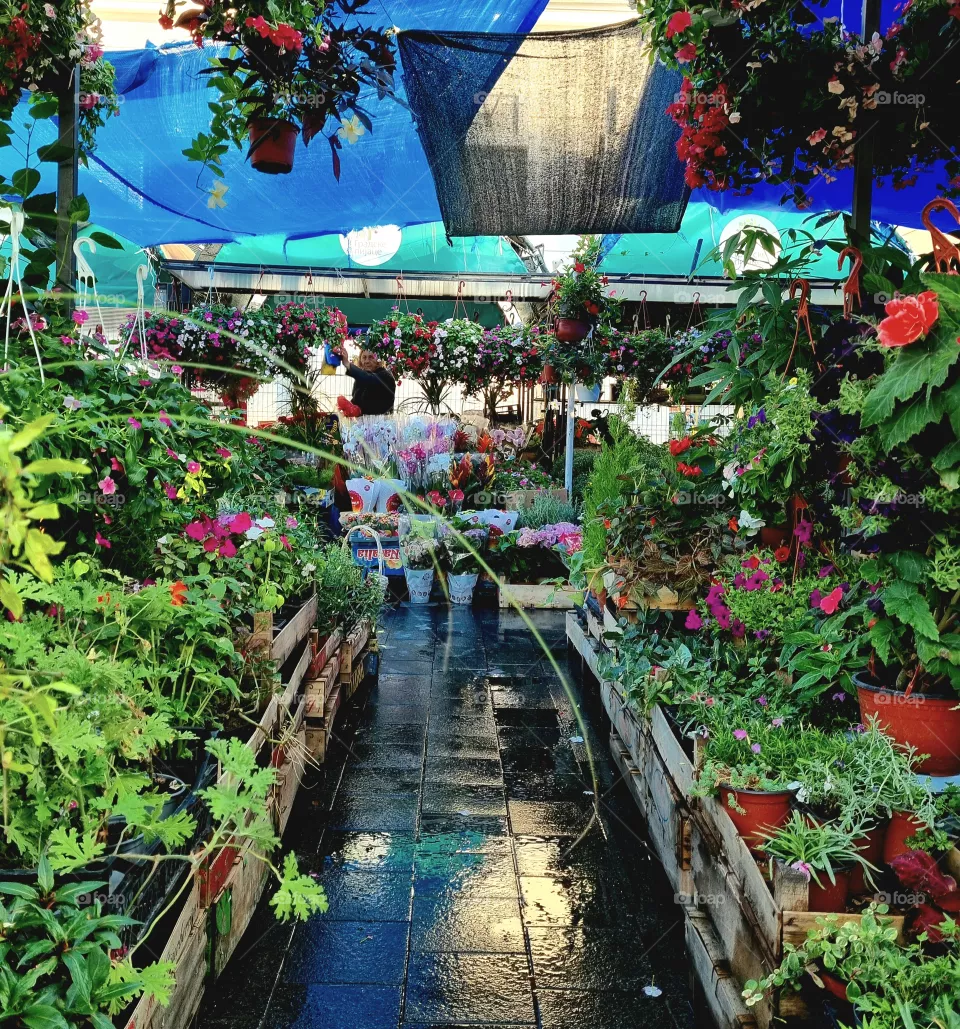 flower market
