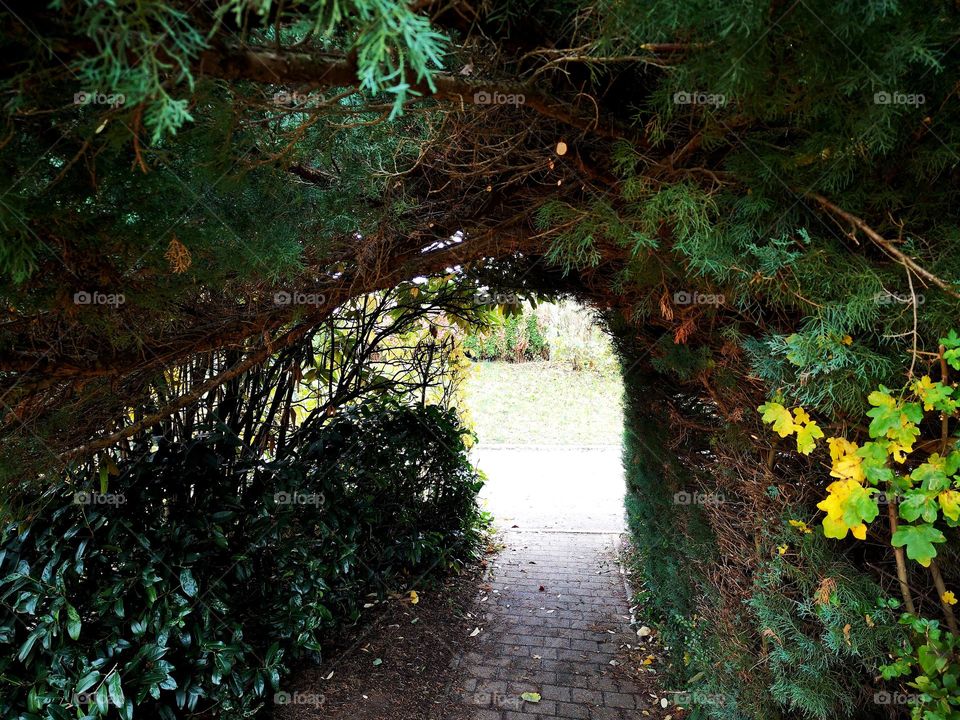 Grüne Tunnel