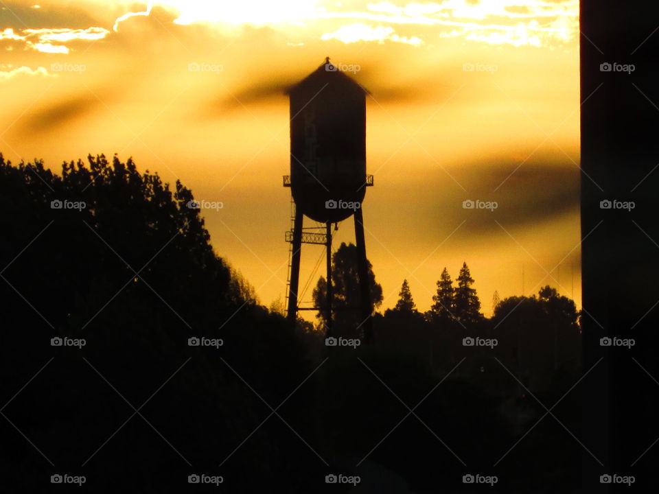 Sunset, Silhouette, Backlit, Evening, Dawn