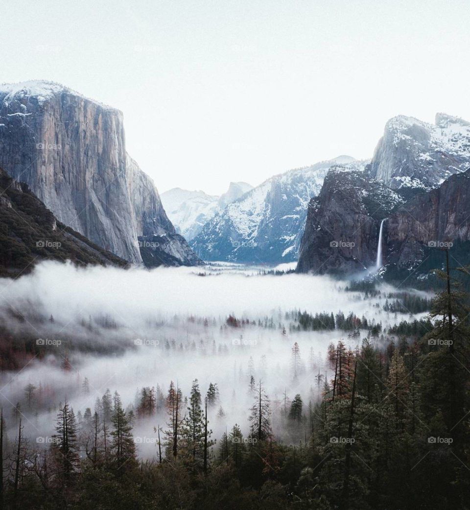 It looks like icing on the nature.