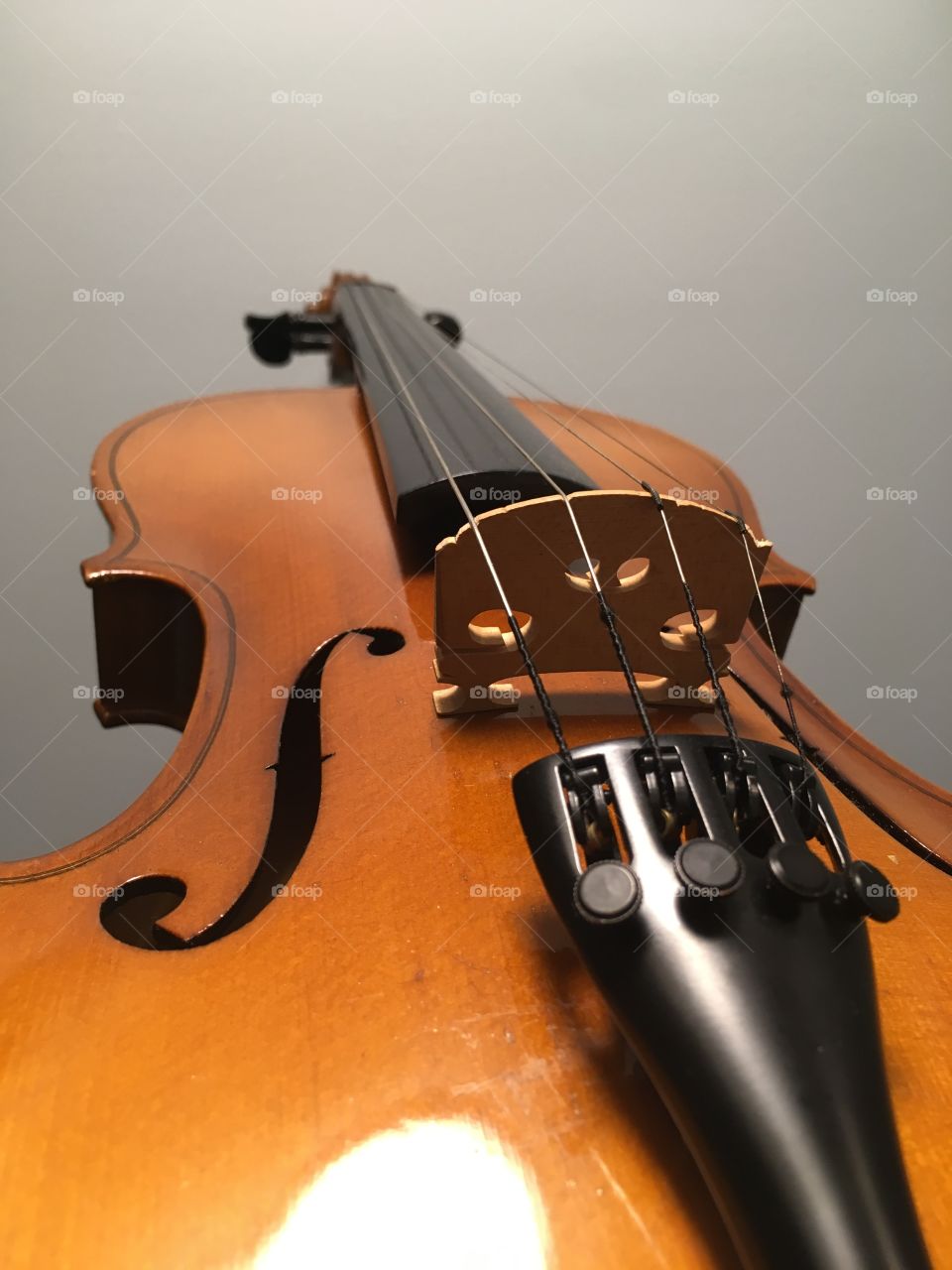 Violin
