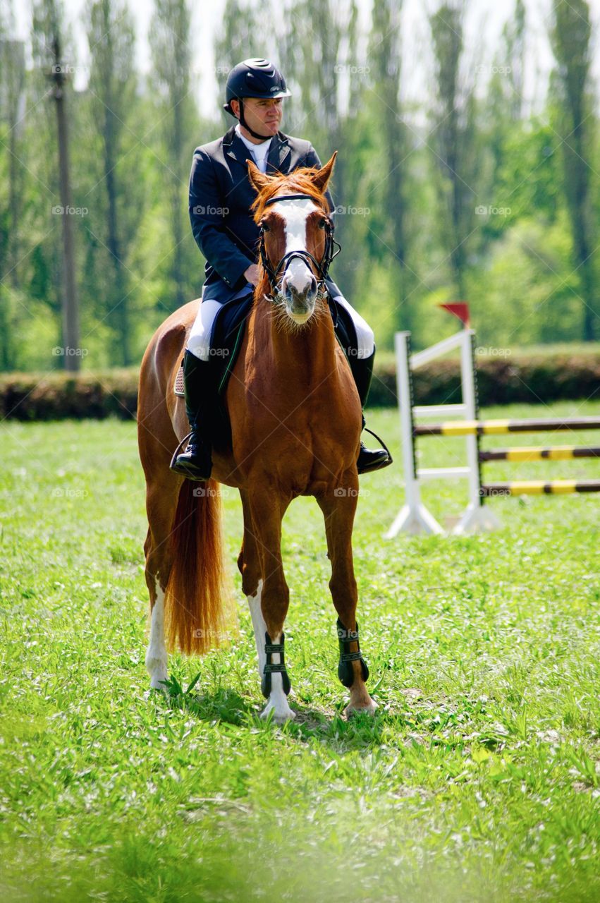 Young man riding on horse in the field