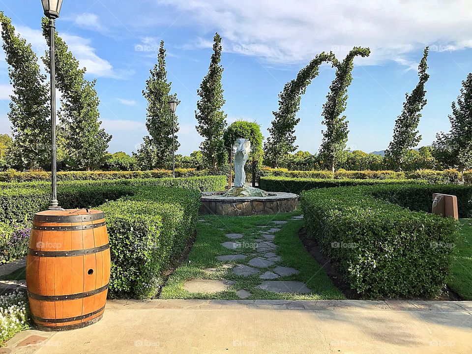 Peju Province Winery