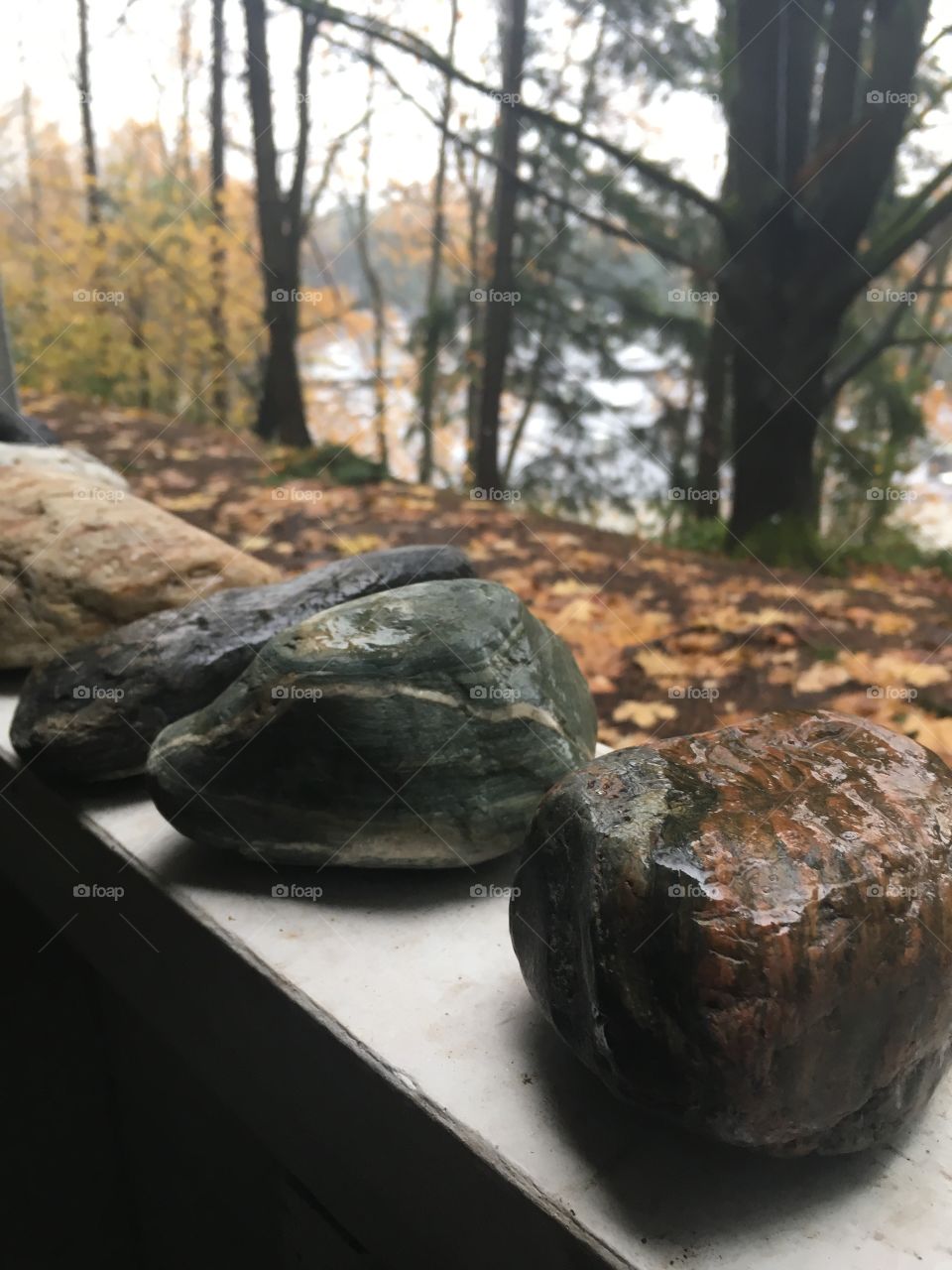 rocks outside