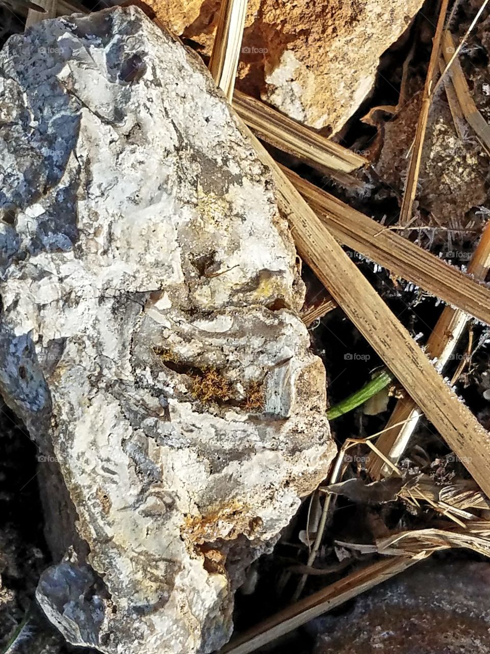 What can we Really see in a Rock