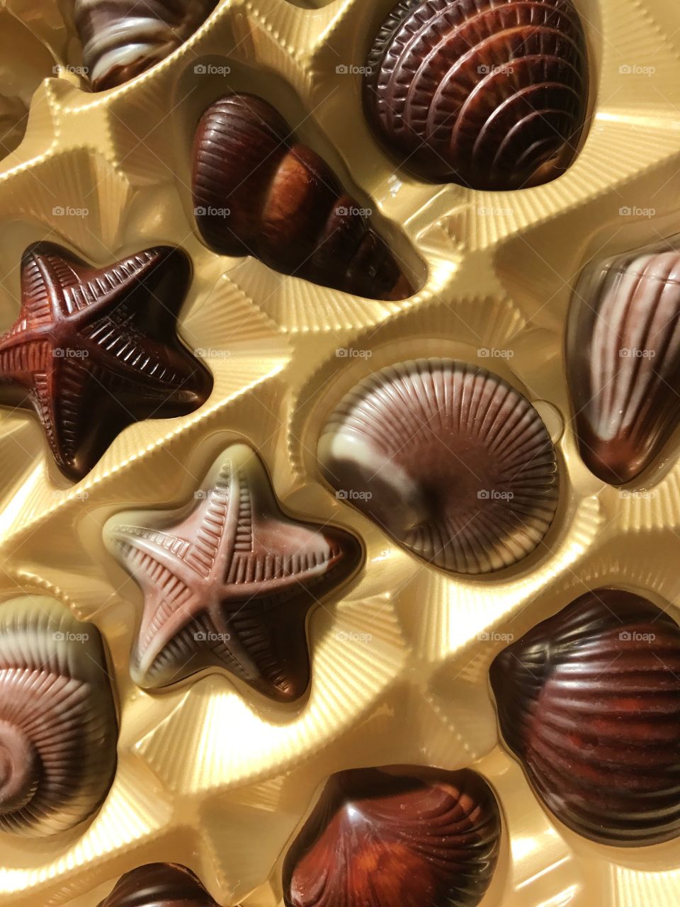 Chocolate seashells