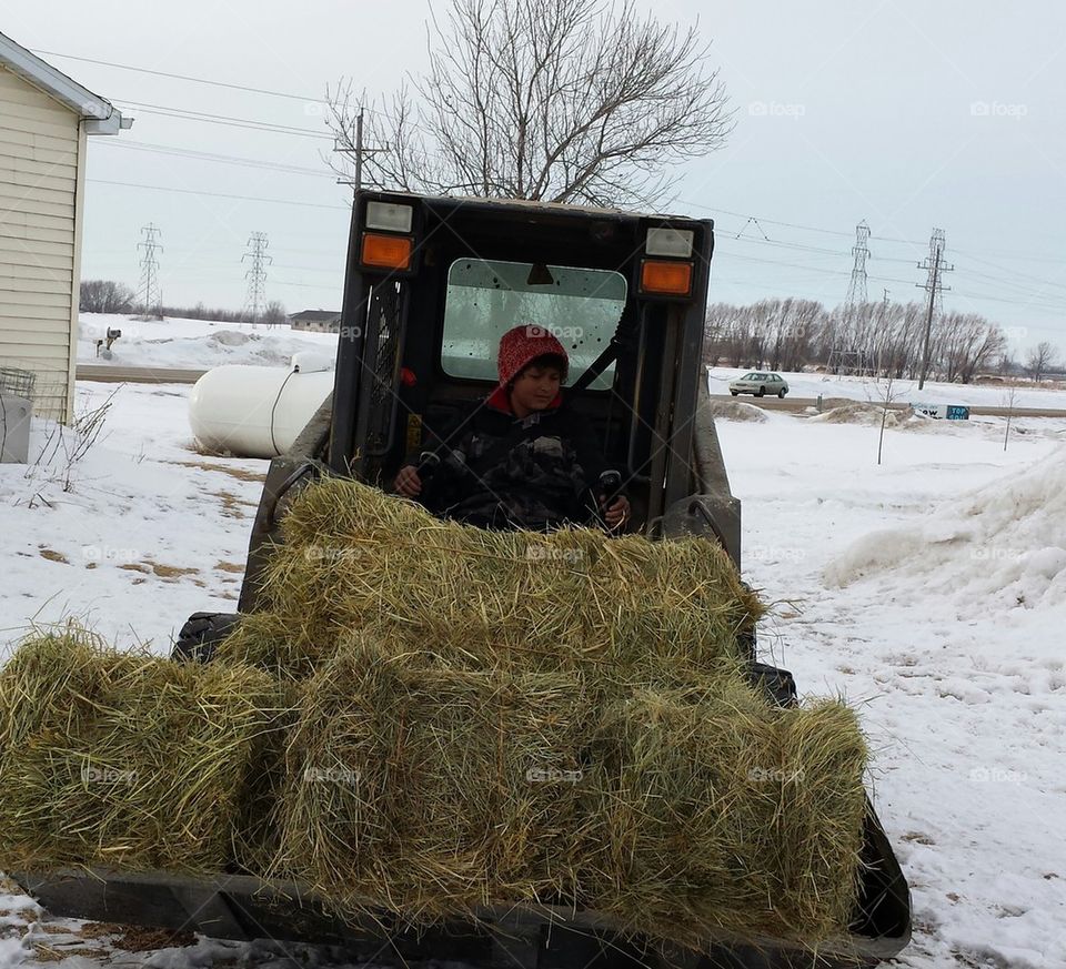 Boy hauling hay