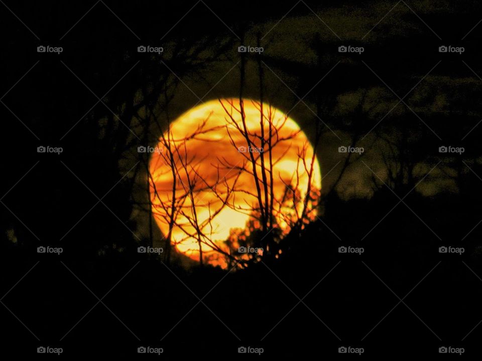 Beautiful Orange Moon