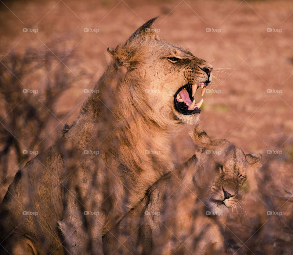 Travel around the world