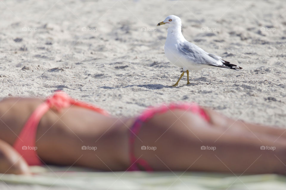 Sunbathing