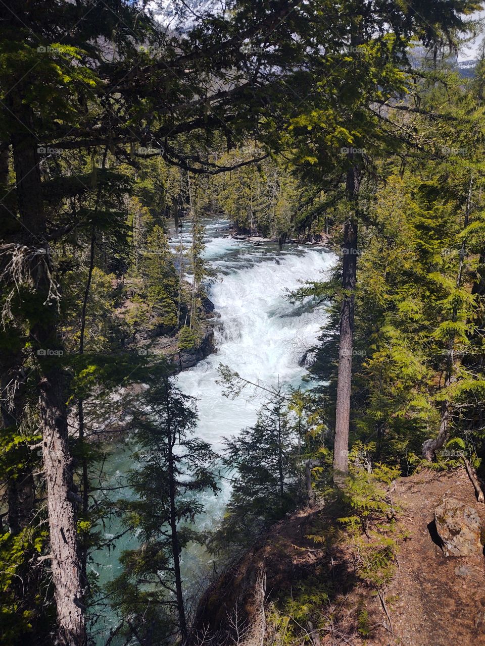 Glacier National Park
