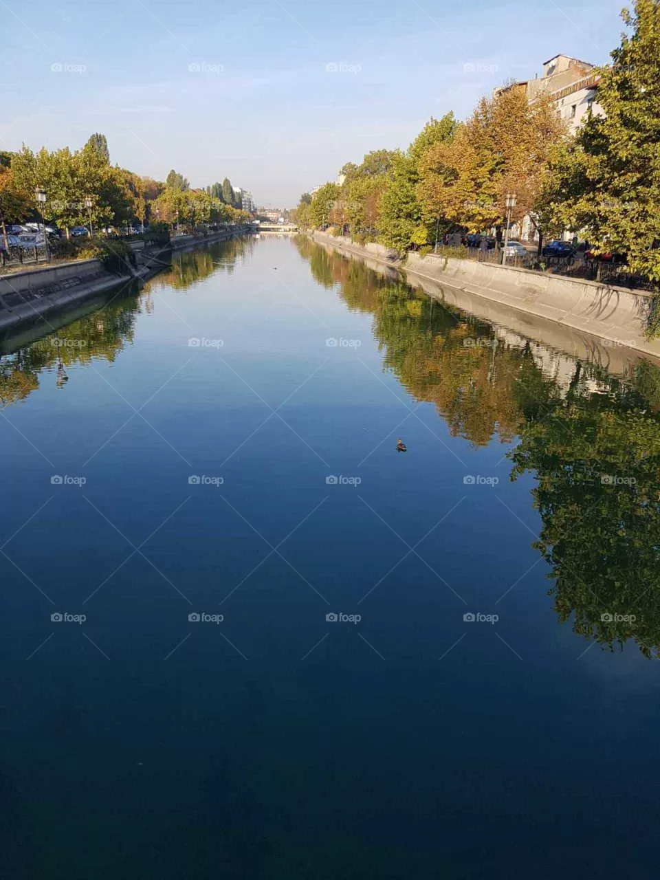 River in the city